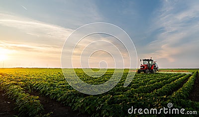 Tractor spraying soybean field Editorial Stock Photo