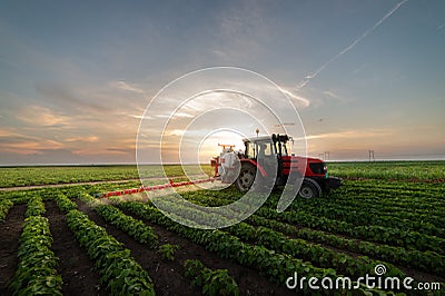 Tractor spraying soybean field Editorial Stock Photo