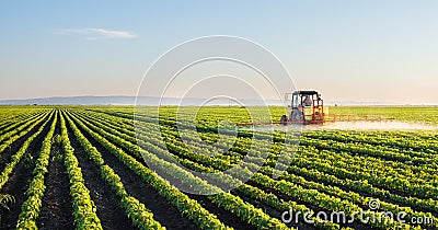 Tractor spraying soybean field Stock Photo