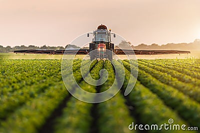 Tractor spraying soybean field at spring Stock Photo