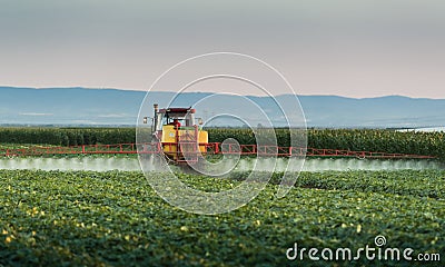 Tractor spraying vegetable field at spring Stock Photo
