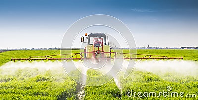 Tractor spraying wheat field Stock Photo