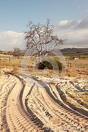 Tractor tracts on farm near Redelinghuys in South Africa Stock Photo