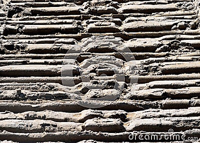 Tractor Tracts On The Ocean Beach Stock Photo