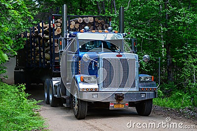 Tractor trailer truck hauling logs Editorial Stock Photo