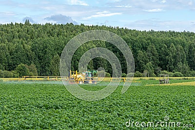 Green and yellow tractor watering a green potato field Stock Photo