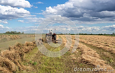 Tractor working with wheel rake in field Stock Photo