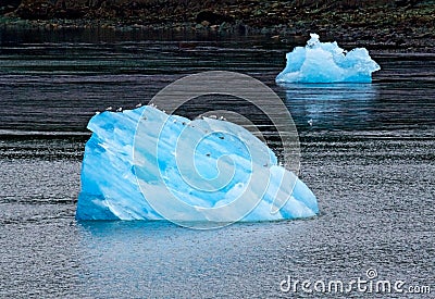 Tracy Arm Fjord Iceberg Stock Photo