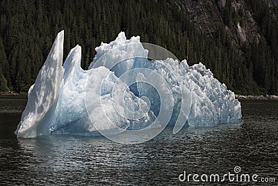 Tracy Arm Iceberg Stock Photo