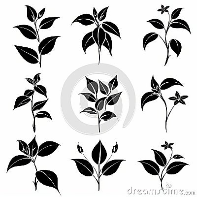 Tradescantia (Tradescantia virginiana), Pot Plant Flat Icon Set, Tradescantia Plant Flat Design Stock Photo