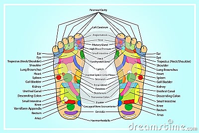 Traditional alternative heal, Acupuncture - Foot Scheme Stock Photo