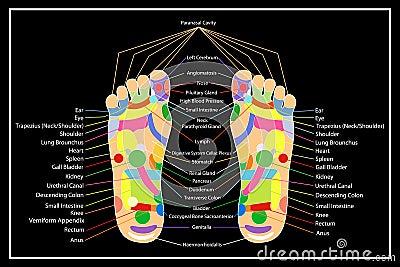 Traditional alternative heal, Acupuncture - Foot Scheme Vector Illustration