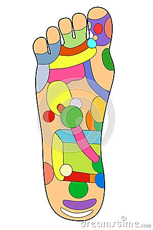 Traditional alternative heal, Acupuncture - Foot Scheme Vector Illustration