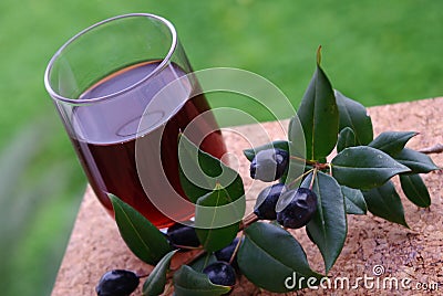 Traditional berry's Liqueur of Sardinia Stock Photo