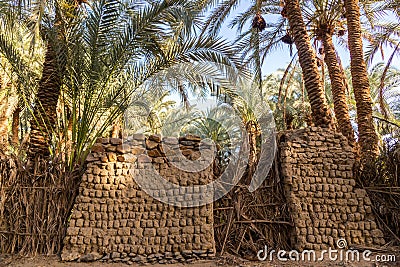 Traditional building of clay, thatched walls and adobe bricks, gardens of date palms. Bahariya, Western Desert, Sahara, Egypt. Stock Photo
