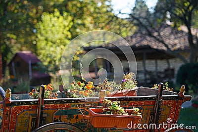 Traditional Bulgarian wagon with wooden wheels,detail Stock Photo