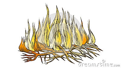 Traditional Burning Camping Fire Color Vector Vector Illustration