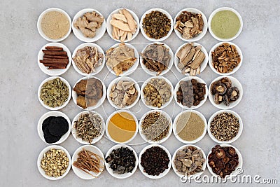 Traditional Chinese Fundamental Herb Collection Stock Photo