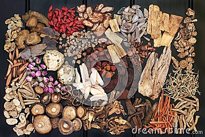 Traditional Chinese Herbs Stock Photo