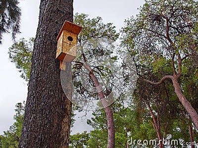 Traditional classic wooden nesting box on a tree Stock Photo