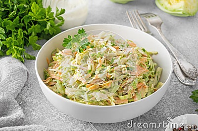 Traditional cole slaw salad in a bowl on a gray concrete background. Salad with cabbage, carrot and mayonnaise sauce. Stock Photo