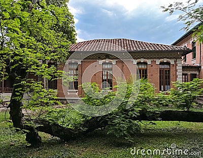 Traditional colonial house with Latin and Spanish architecture and a green tree Stock Photo