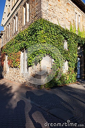 Traditional corner house covered in ivy Stock Photo