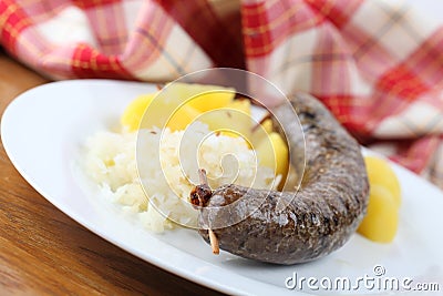 Traditional Czech white pudding Stock Photo