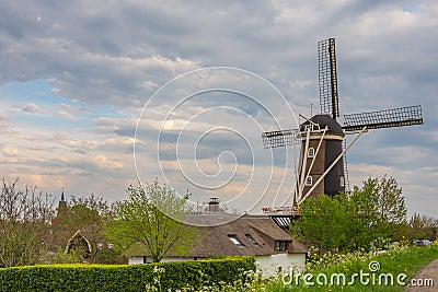 Traditional dutch windmill in the Haaften village, Province of Gelderland Stock Photo