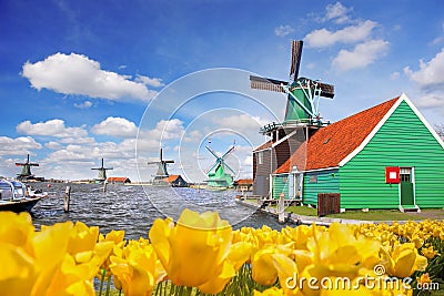 Traditional Dutch windmill with tulips in Zaanse Schans, Amsterdam area, Holland Stock Photo