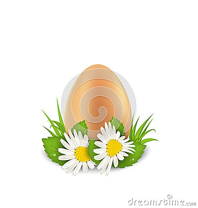Traditional Easter egg with flowers camomiles and grass, copy sp Vector Illustration