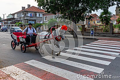 The traditional entertainment of tourists in town - a trip on a horse-drawn phaeton Editorial Stock Photo