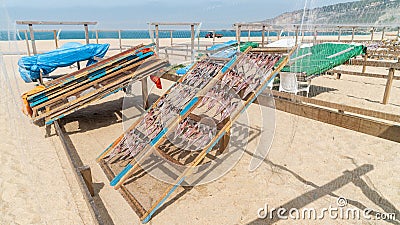 Traditional fish-drying on the beach of Nazare, Portugal, a fishermen village on the Atlantic coast Editorial Stock Photo