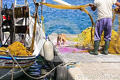 Authentic traditional Greece - scene with fisherman and cat avaiting the fish. Leros island, Agia Marina port Editorial Stock Photo