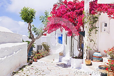 Traditional greek street with flowers in Amorgos island, Greece Stock Photo
