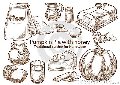 Traditional Halloween Food. Pumpkin pie with honey Vector Illustration