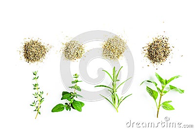 Traditional herbs for italian cuisine. Dries and fresh herbs Stock Photo