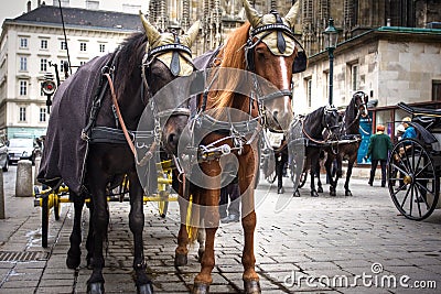 Traditional horse coach Fiaker in Vienna Austria Stock Photo