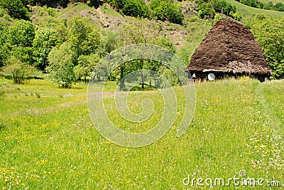 Traditional house with straw roof Stock Photo