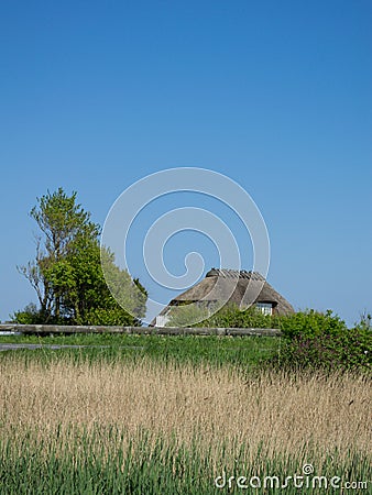 Traditional House with Straw Thatched Roof in Denmark Stock Photo