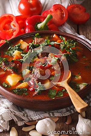 Traditional Hungarian goulash soup bogracs close-up in a bowl. V Stock Photo