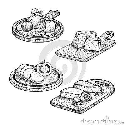 Traditional Italian cheese set. Mozzarella, Burratta, Ricotta and Parmesan. Vector Illustration