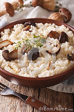 Traditional Italian risotto with wild porcini mushrooms close up Stock Photo