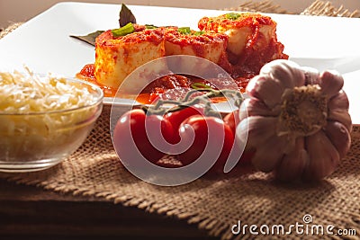 Traditional Italian Rondelli pasta with tomato sauceon rustic background Stock Photo