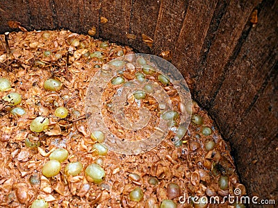 Traditional Italian winemaking Stock Photo