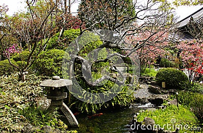 Traditional japanese decorative garden with pond, stone lantern and flowering quince trees, Hasedera temple, Kamakura, Japan Stock Photo
