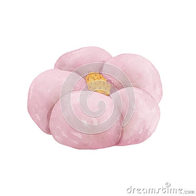 Traditional Japanese dessert pink flower made from rice flour. Hand drawn illustration isolated on white background Cartoon Illustration