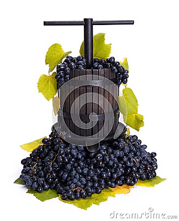 Traditional manual grape pressing utensil with blue grapes Stock Photo