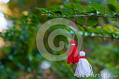 Traditional Martisor on green tree branch - symbol of 1 March, Martenitsa, Baba Marta, beginning of spring and seasons changing in Stock Photo