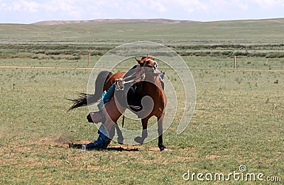 Traditional mongolian fun - young man riding a horse at full gallop and trying to take off the ground a banknote Editorial Stock Photo